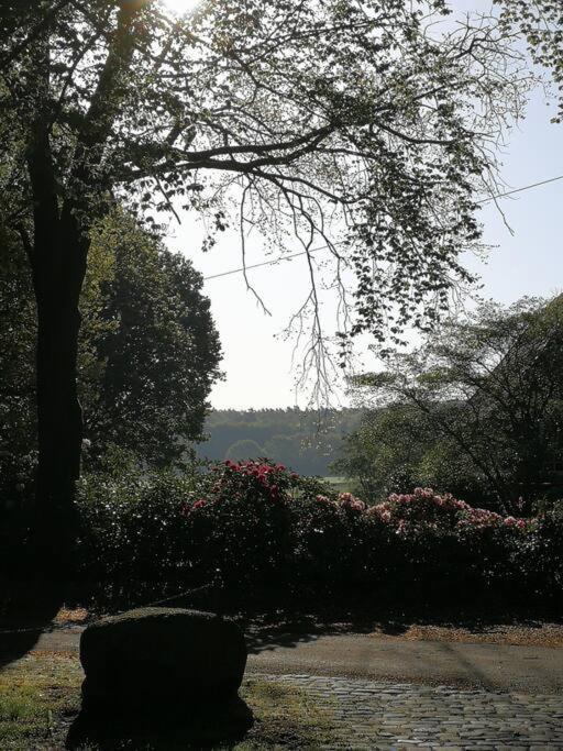 Bruchhausen-VilsenXanadi Heilehaus Kleine Auszeit Kururlaub公寓 外观 照片